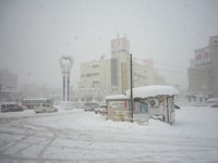 元旦限定乗り放題の正月パスで旅初め