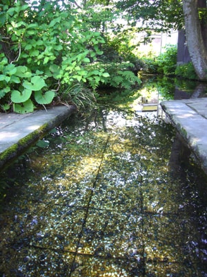 涼を求めて名水の里、秋田・六郷湧水群へ