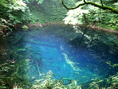 途中下車してブナ原生林＆十二湖を散策