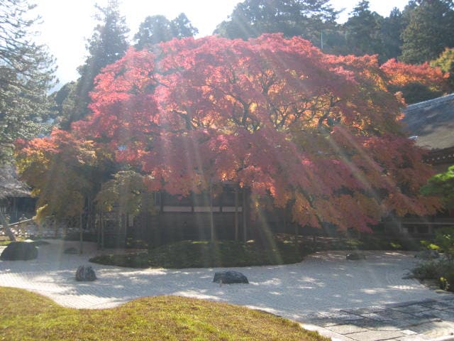鮮やかな色に包まれて～秋の雷山～