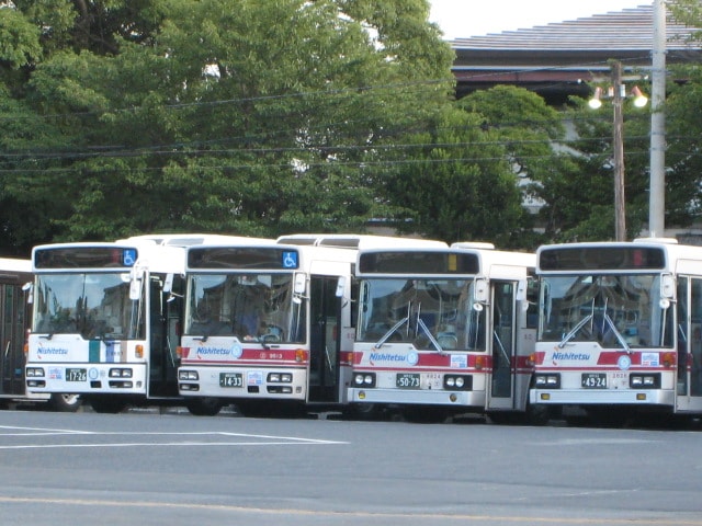 福岡にも周遊バス登場～ぐりーん～