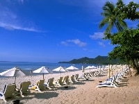 ベストシーズン到来！夏はサムイに行こう