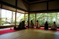 梅雨時こそ京都。庭園が美しく輝いています