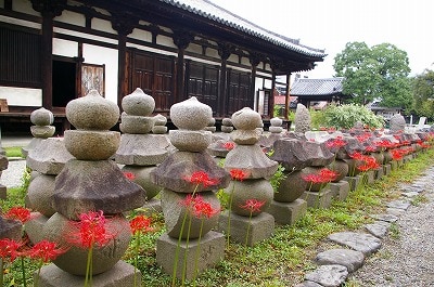 gangoujihiganbanayoko.jpg