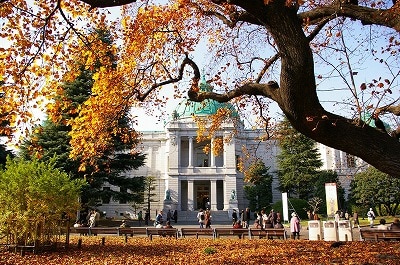 12月初旬まで楽しめる東京一の紅葉