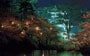 お花見スポットBEST3 [全国版]　極上の桜名所