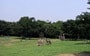 芝生でのんびりピクニック・デート　公園でピクニックを楽しもう！