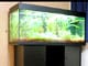 JUWEL AQUARIUM　RIO240　こだわりの高級輸入水槽