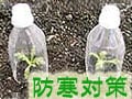 冬越し・防寒　寒さはチープに乗り切ろう！