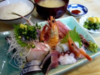一人旅の夕食、どうしよう？