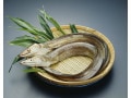 鱧の卵の食べ方とは？ 煮付けやどんぶりなどおすすめレシピ