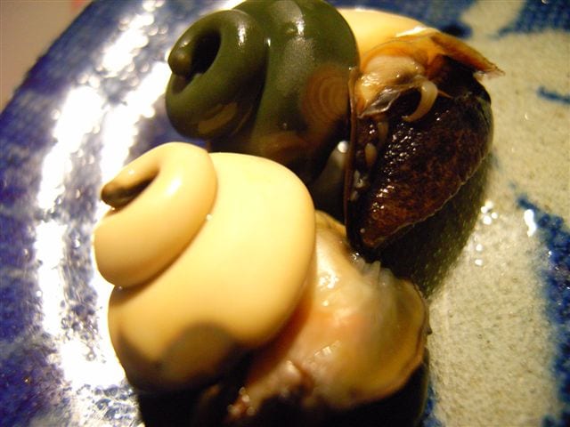 美味なシッタカ　緑と白グルグルの正体は？