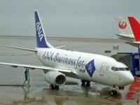 anabusinessjet2.jpg