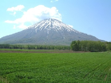 新緑のニセコ・ドライブスケッチ