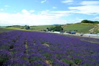 7月のおいしい時間＊ブログ風06