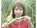 女性社長の夢が実った！　沖縄県産ラム誕生　南大東島で生まれたラム酒