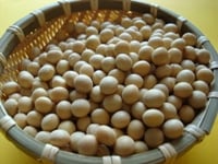 【カロリー表】豆類（豆、豆腐、納豆など）