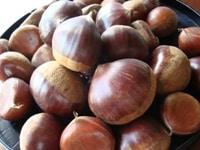 【カロリー表】種実類（ナッツ、木の実）