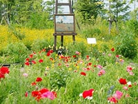 快適に過ごす、京都の涼なる旅