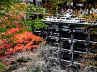 京都不思議7連発！！初級編