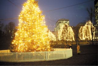 ボストンコモンのクリスマスツリー