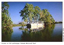 カカドゥ国立公園