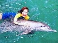 初心者からリピーターまでOKのパンダバスとは？　個性派ツアーで自分スタイルの旅