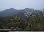 箱根の仙石原はススキが見頃