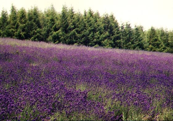 夏の北海道を走ろう！　現地編