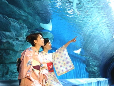 まだ間に合う！夏休みイベント83連発【東】