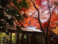 秋におすすめの寺と神社