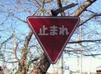 標識がみえなかった。違反はどうなる？