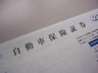 プロ代理店ってどんな代理店なの？