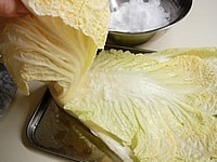 4つ割した白菜の外側の大きな葉から、1枚ずつ葉先よりも根元よりに塩を振りかけていきます。 だんだん葉が小さくなり、軽めに塩を振ります。