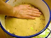 水分の多いキャベツや大根、カブの葉などの捨て野菜をぬかの底の方に漬けて表面を手のひらで押さえつくるようにならし、きつく絞った布巾で周りの汚れを拭き取り蓋をします。毎日ぬか床を混ぜ2～3日で捨て野菜を取り出して、また捨て野菜を入れてを2週間ほど繰り返し、ぬか床がしっとりと味噌のようになったら完成です。本漬けをはじめます。