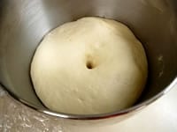 発酵の目安は、生地が2倍ほどに膨らむのと、粉をつけた指を生地の中央に入れて抜き、穴がそのままふさがらなければ発酵終了です。フィンガーテストといいます。
