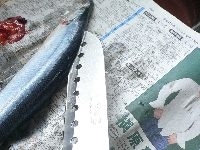 秋刀魚を水で洗ってウロコを落とす。まな板の上にのせて、背に包丁を入れ、中骨に添って尾に向けて切り下ろす。