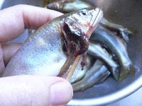 鮎は水で洗い、肛門付近を押して糞を出す。 鮎の苦味が苦手な場合は、エラの下からワタを抜き取る。