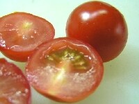 プチトマトはヘタを取って、縦半分に切る<br />