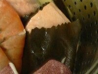 鮭は2等分し、軽く塩をふって酒で湿らせた昆布を巻く。蟹脚の内側の殻を削ぎ取る。海老の背ワタを竹串ですくい取る。イカはワタを取って4つに切る。新じゃがは洗って4つに切る。南瓜は4つに切る。椎茸のカサに切り込みを入れる。とうもろこしを2～4等分に切る。アスパラは半分に切る。