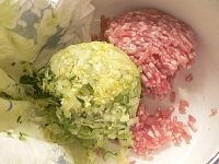 野菜をみじん切りにし、塩を1つまみ振りかけて混ぜる。布巾で包んで水気を絞って、ひき肉と合わせる。<br />