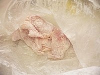 鶏肉をポリ袋に入れて小麦粉を加え、上下にふってまぶす。<br />