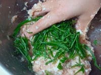 鶏挽肉に、全ての調味料とみじん切りにした玉ねぎ、しょうがを加えて粘りが出るまでこねます。粘りが出たら大葉を加えて、全体にまんべんなく混ぜて餃子種を作ります。