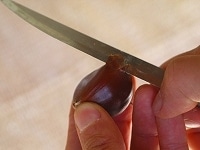 栗の平たい側の端の角の部分を削るように皮をナイフで切ります。