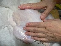 両手にオリーブオイルをぬって、鶏の表面をこする。次に、塩、黒コショウ、ローズマリーを、手でマッサージするようにぬりつける。 <br />