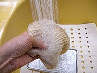トリッパを流水で網目などの汚れを良く洗い流します。<br />