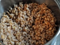 たっぷり目の水に塩をし、スペルト小麦を入れて火にかけ、10-15分程煮て、アルデンテに茹で上がったらザルにあげて、軽く水で洗う。