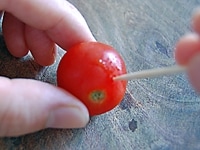 爪楊枝を用意し、プチトマトの表面に3箇所ほど浅く穴をあけます。<br />