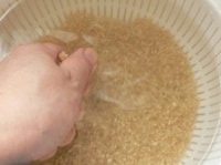ボウルにザルを重ねて玄米を入れ、たっぷりの水を注ぎ、片手でギュッギュッと握るか、両手で玄米をはさんでこすりあわせるようにして洗い、ザルを持ち上げて水を変えることを5～6回繰り返す。<br />
