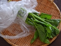 しなびやすいので、茎に湿らせたキッチンペーパーを巻いて、ビニール袋か新聞紙で包み、立てた状態で野菜室へ。2～3日以内に食べましょう。<br />
<br />
